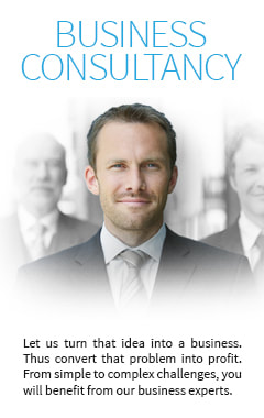 Business Consultancy